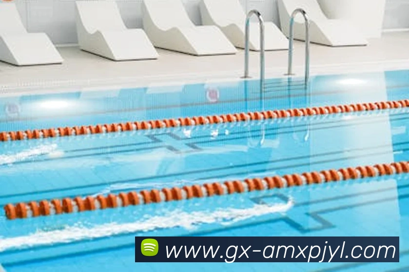 新葡京娱乐平台生态图