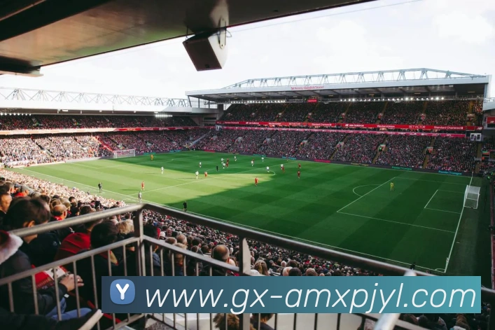 新葡京娱乐全站App 新葡京娱乐全站App